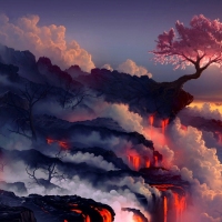 Lava landscape and cherry tree